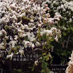 Ｋ８９　頼るのは他人ではなく、潜在意識に〜の画像