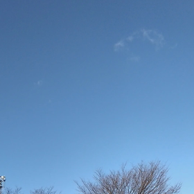 連休最後は凧揚げ！の画像