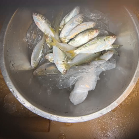 舞坂　新子の仕込み動画の画像