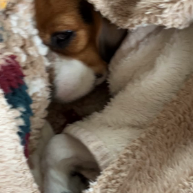 至福の時間の画像