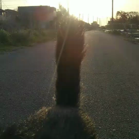 親ばか。の画像