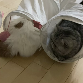 前回に続いて…の画像