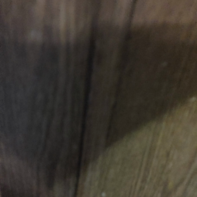 猫部屋２の画像