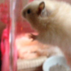 テト 脱出 はかる。の画像