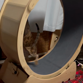 またまたお久しぶりです。の画像