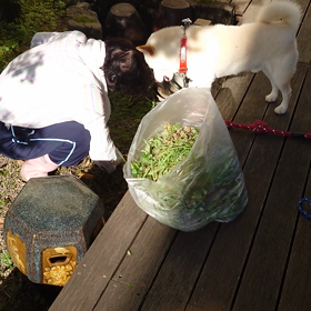 お盆休み！の画像