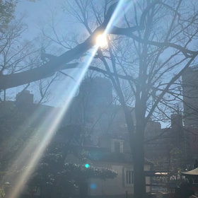 みつめるものの画像