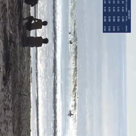 ワンターンしかしてないの画像