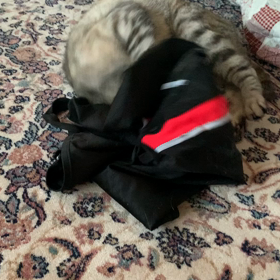 何が彼女を狂わせるのかの画像