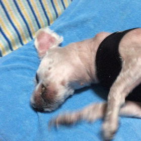 温度管理は難しい！の画像