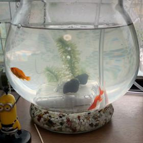 投げ込み式フィルターセットの画像