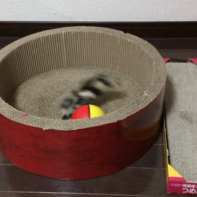 おもちゃの画像