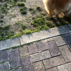 何してるん？の画像