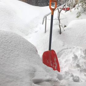 童心にかえってやってみたら楽しかった( *´艸｀)の画像