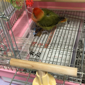 マヤ暦　アドバンス講座の画像