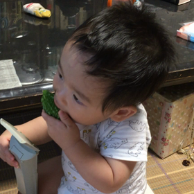 ゴーヤ大好きの画像