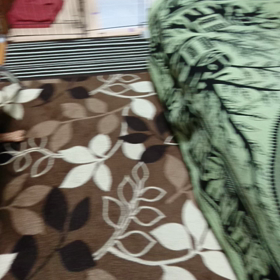 じゃれてるの？の画像