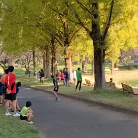 11/3　ミニ駅伝⑫の画像