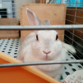 今日のうっちゃん 7月26日の画像