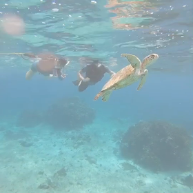 宮古島で亀と泳ぐー、しかしパラオより大変‼️の画像