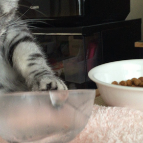 暑い その②の画像