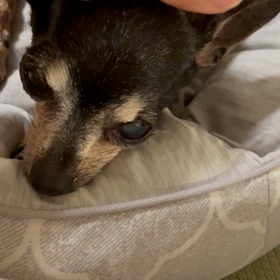 夕飯も療養食の画像