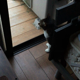 おはよーの画像