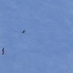 ゼルデン雪上トレーニング5の画像