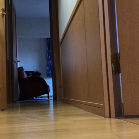 ペットロスからの遂にかかった？  これがないと心配。の画像