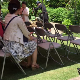 バラフェスタの画像