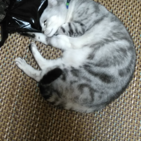 映画を見に行ったの画像