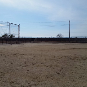 今週のお知らせの画像