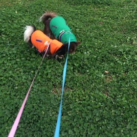 どんだけ兄ちゃん好きやねん♬の画像