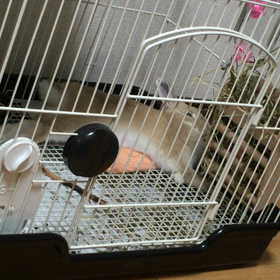 眠い〜の続きの画像