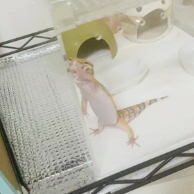 モカちゃん　何してるのー？の画像