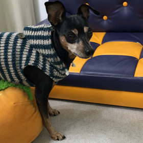 ♪プレイルーム動画♪の画像