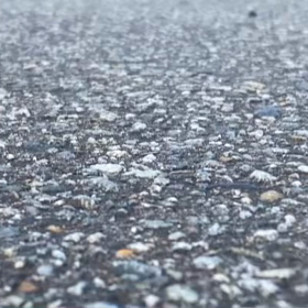 iPhoneでパパッと動画／カッコいいライダー！の画像