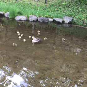 嵐の前の静けさ？の画像