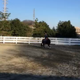 久しぶりの画像