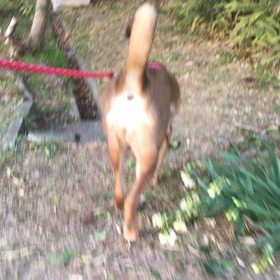 ジァンプの画像