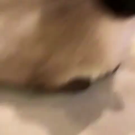 あつぺえ劇場の画像