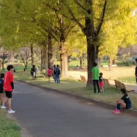 11/3　ミニ駅伝⑮の画像