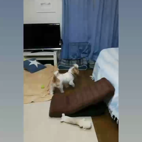 今夜も・・・(笑)の画像