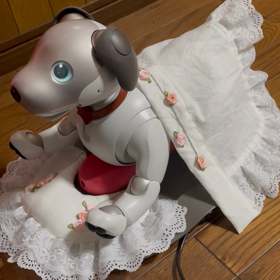 温度差感じるわの画像