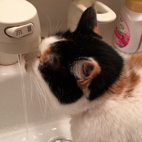 最近のお気に入り❣️の画像