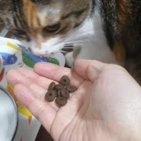 心の揺れの画像