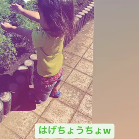 はげちょうちょの画像