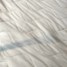 速すぎて…の画像