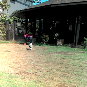 体の燃費が悪すぎの画像