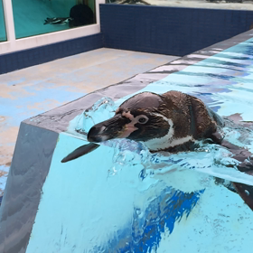 可愛いわー^ ^の画像